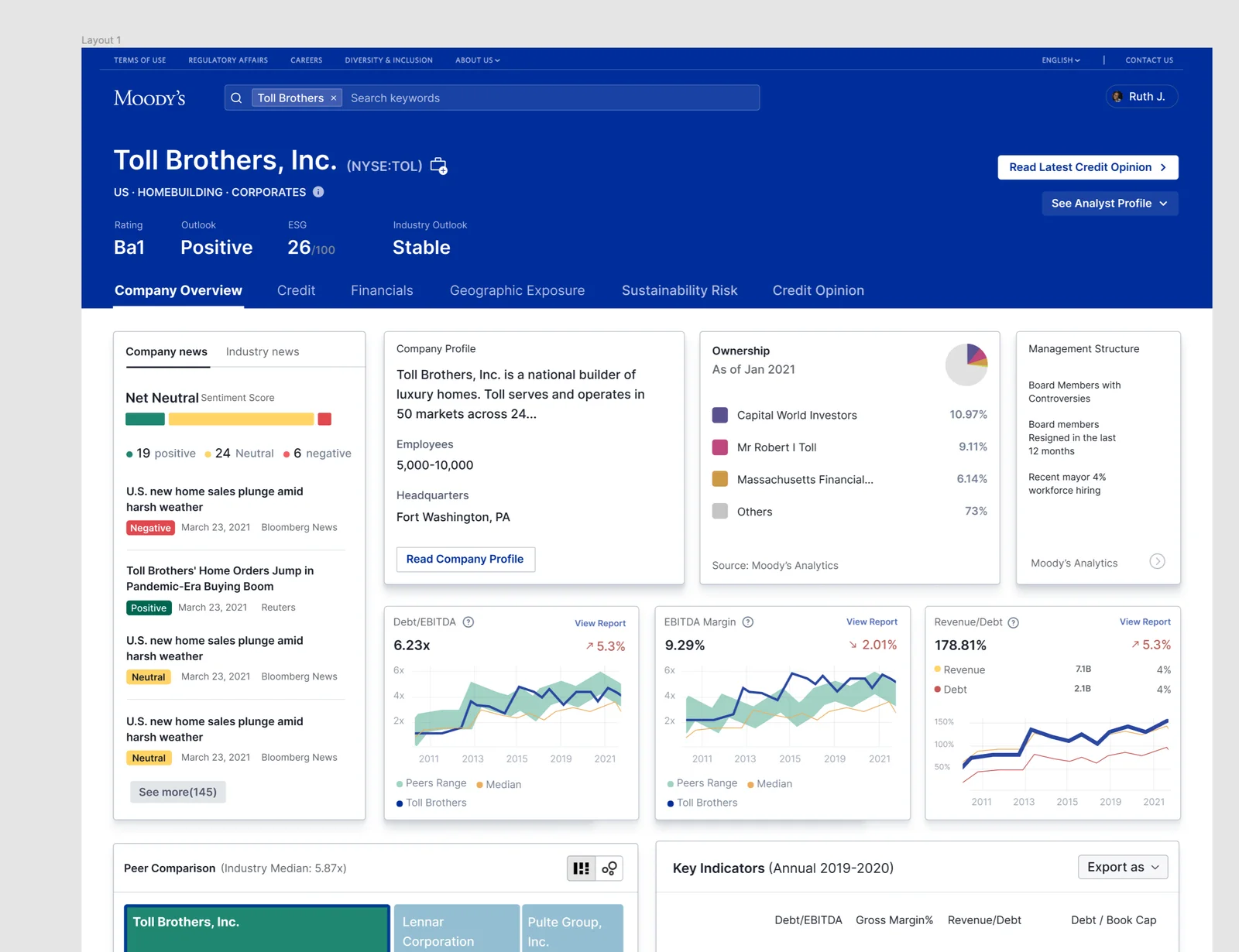 A company overview with news, ownership, and key ratios